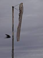 No Wind