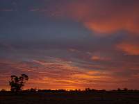 Fire In the Sky